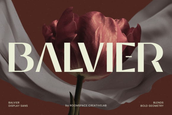 Why Balvier is a Bold Choice for Branding
